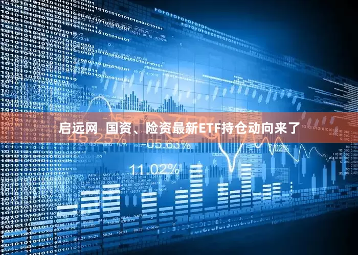 启远网  国资、险资最新ETF持仓动向来了